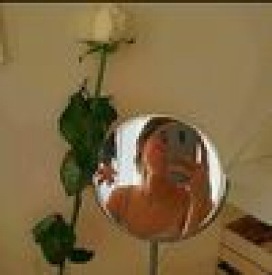 Ana Beatriz zoekt een Studio / Appartement / Huurwoning / Kamer in Maastricht
