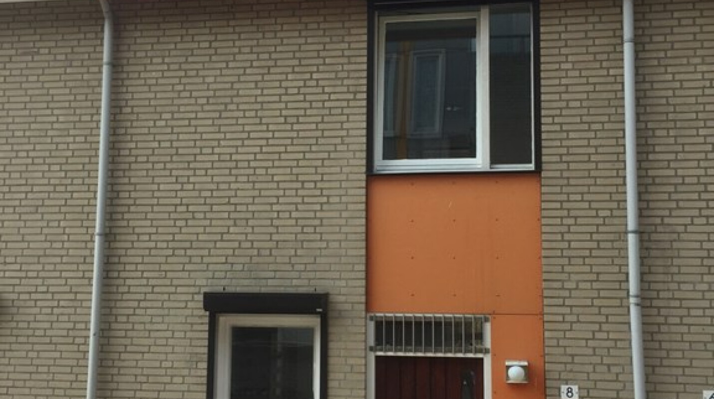 Plantijndomein